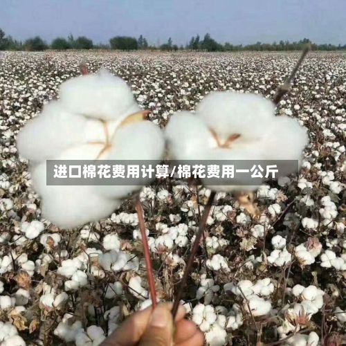 进口棉花费用计算/棉花费用一公斤