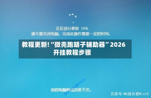 教程更新!“微壳跑胡子辅助器”2026开挂教程步骤-第2张图片