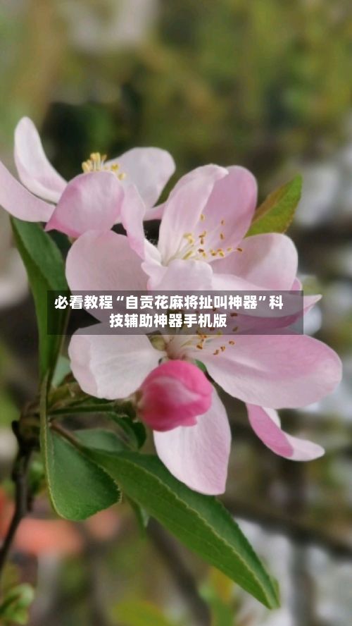 必看教程“自贡花麻将扯叫神器”科技辅助神器手机版-第3张图片