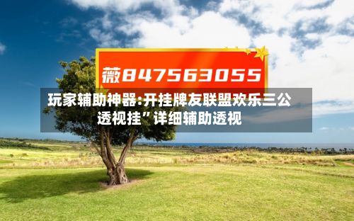玩家辅助神器:开挂牌友联盟欢乐三公透视挂”详细辅助透视-第2张图片