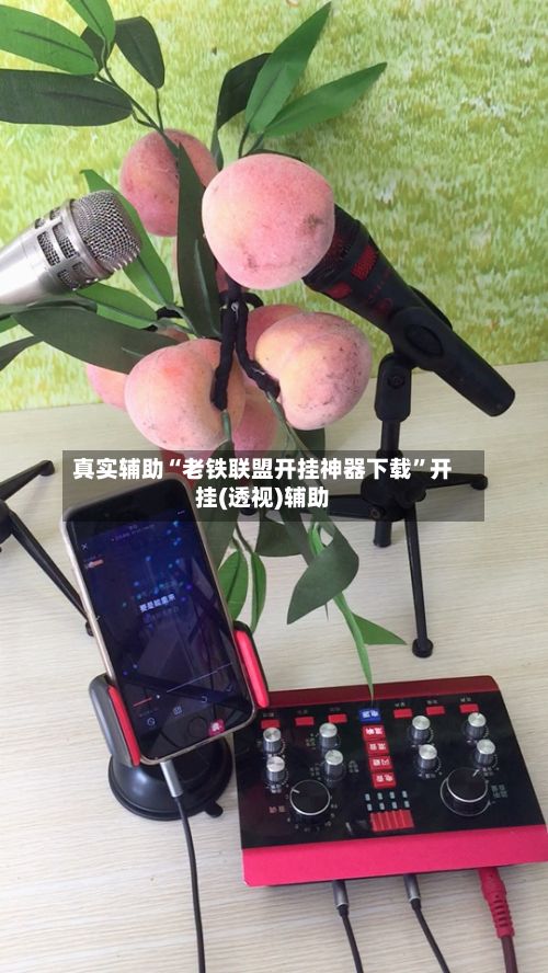 真实辅助“老铁联盟开挂神器下载”开挂(透视)辅助