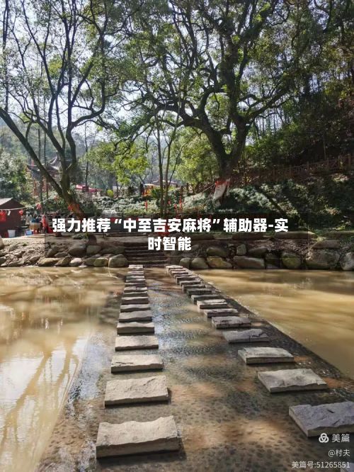强力推荐“中至吉安麻将”辅助器-实时智能-第3张图片
