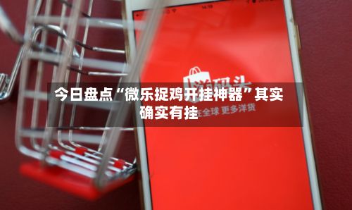 今日盘点“微乐捉鸡开挂神器”其实确实有挂-第3张图片