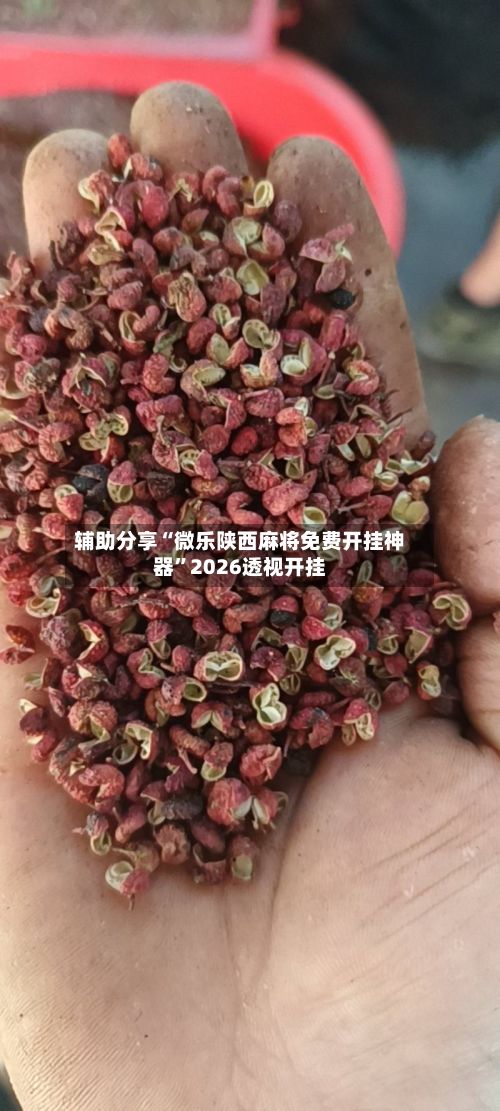 辅助分享“微乐陕西麻将免费开挂神器”2026透视开挂-第2张图片