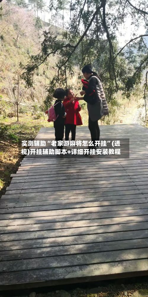 实测辅助“老家游麻将怎么开挂”(透视)开挂辅助脚本+详细开挂安装教程-第2张图片