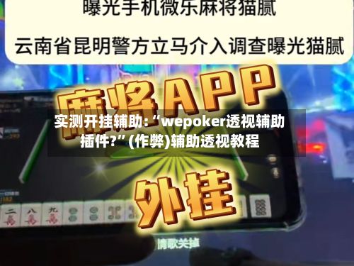 实测开挂辅助:“wepoker透视辅助插件?”(作弊)辅助透视教程-第3张图片