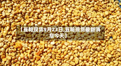 【豆粕现货9月23日,豆粕现货最新消息今天】-第2张图片