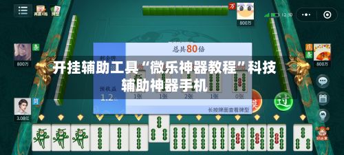 开挂辅助工具“微乐神器教程”科技辅助神器手机-第2张图片