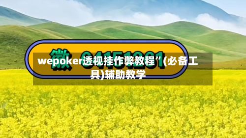 wepoker透视挂作弊教程”(必备工具)辅助教学-第3张图片