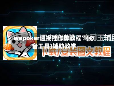 wepoker透视挂作弊教程”(必备工具)辅助教学-第2张图片