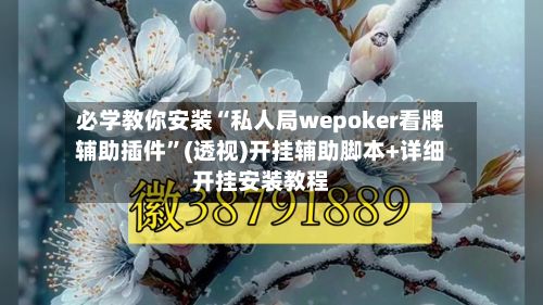 必学教你安装“私人局wepoker看牌辅助插件	”(透视)开挂辅助脚本+详细开挂安装教程-第2张图片