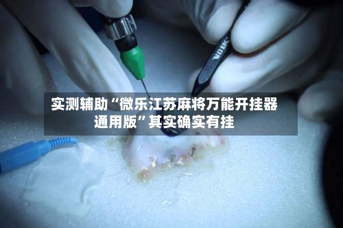 实测辅助“微乐江苏麻将万能开挂器通用版”其实确实有挂-第3张图片