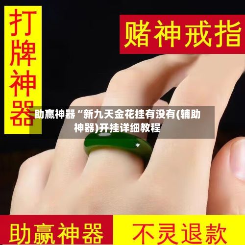 助赢神器“新九天金花挂有没有(辅助神器)开挂详细教程-第2张图片