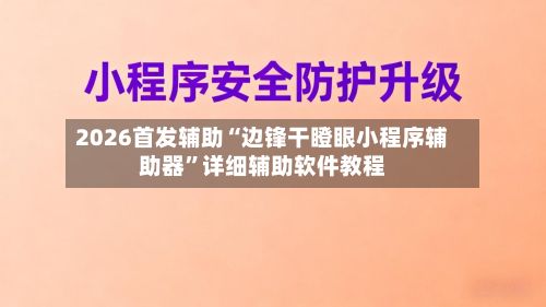 2026首发辅助“边锋干瞪眼小程序辅助器”详细辅助软件教程-第2张图片