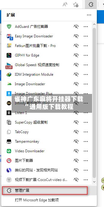 雀神广东麻将开挂器下载”通用版下载教程-第2张图片