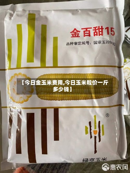 【今日金玉米费用,今日玉米粒价一斤多少钱】