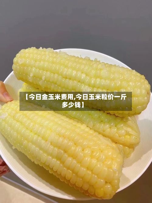 【今日金玉米费用,今日玉米粒价一斤多少钱】-第3张图片