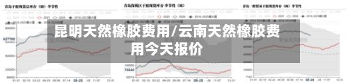 昆明天然橡胶费用/云南天然橡胶费用今天报价