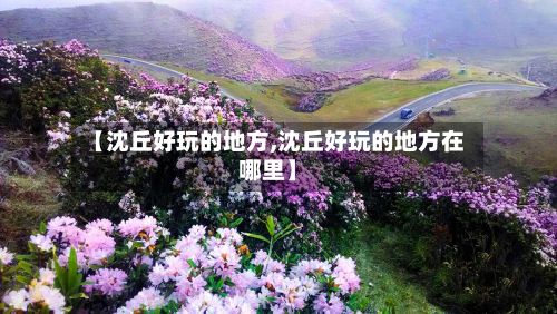 【沈丘好玩的地方,沈丘好玩的地方在哪里】
