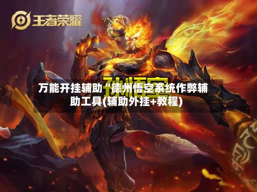 万能开挂辅助“德州悟空系统作弊辅助工具(辅助外挂+教程)-第2张图片
