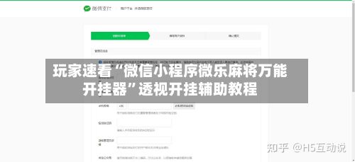 玩家速看“微信小程序微乐麻将万能开挂器”透视开挂辅助教程-第3张图片