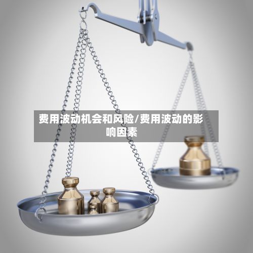 费用波动机会和风险/费用波动的影响因素