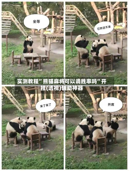 实测教程	”熊猫麻将可以调胜率吗”开挂(透视)辅助神器-第3张图片