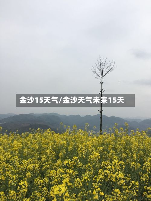 金沙15天气/金沙天气未来15天