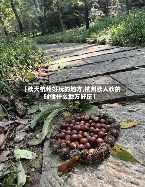 【秋天杭州好玩的地方,杭州秋入秋的时候什么地方好玩】-第2张图片