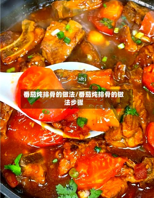 番茄炖排骨的做法/番茄炖排骨的做法步骤-第2张图片
