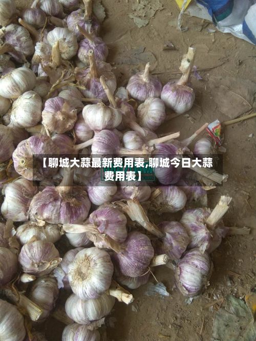 【聊城大蒜最新费用表,聊城今日大蒜费用表】