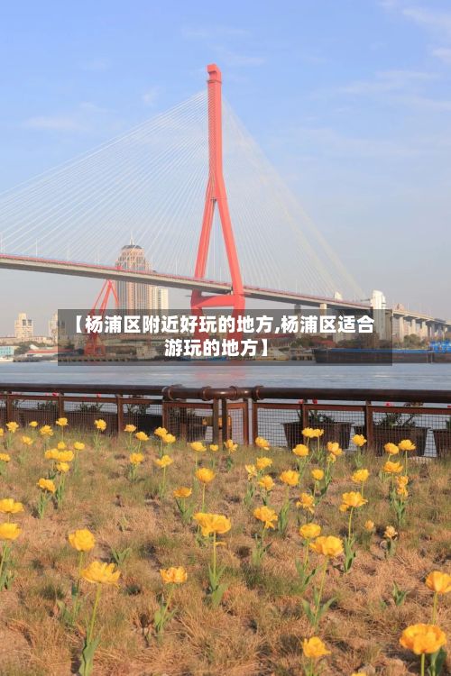 【杨浦区附近好玩的地方,杨浦区适合游玩的地方】
