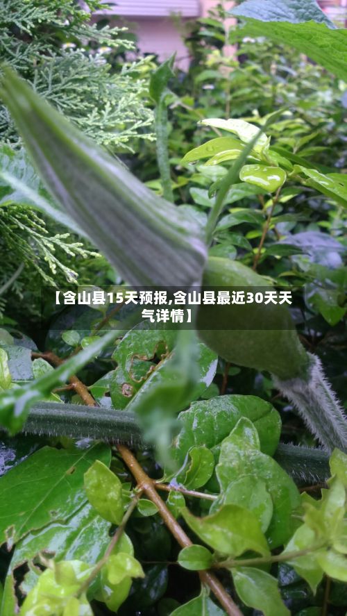 【含山县15天预报,含山县最近30天天气详情】-第2张图片