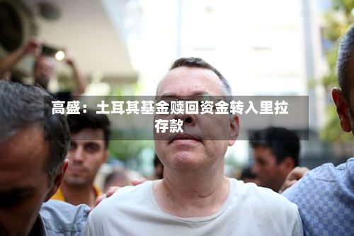 高盛:土耳其基金赎回资金转入里拉存款-第2张图片