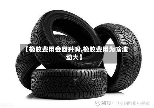 【橡胶费用会回升吗,橡胶费用为啥波动大】-第2张图片