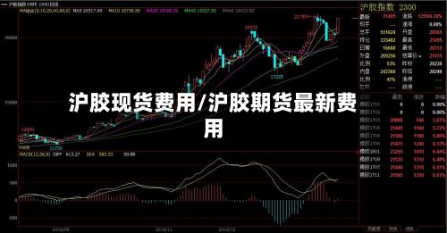 沪胶现货费用/沪胶期货最新费用