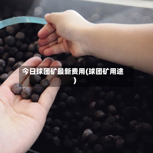 今日球团矿最新费用(球团矿用途)-第3张图片