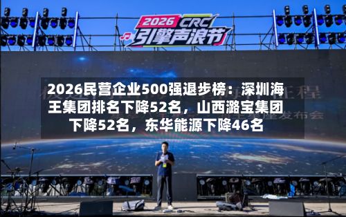 2026民营企业500强退步榜：深圳海王集团排名下降52名，山西潞宝集团下降52名	，东华能源下降46名-第2张图片