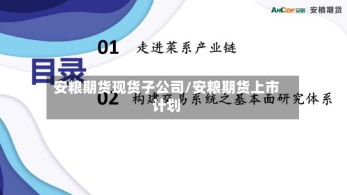 安粮期货现货子公司/安粮期货上市计划