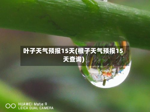 叶子天气预报15天(根子天气预报15天查询)-第2张图片
