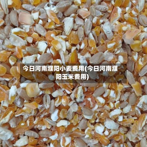 今日河南濮阳小麦费用(今日河南濮阳玉米费用)