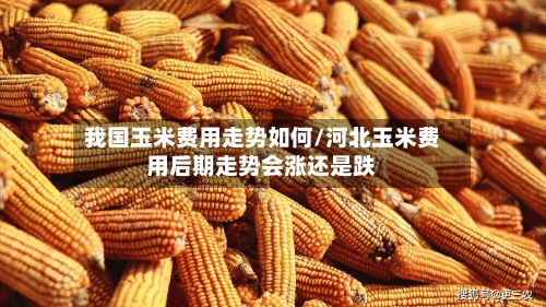我国玉米费用走势如何/河北玉米费用后期走势会涨还是跌