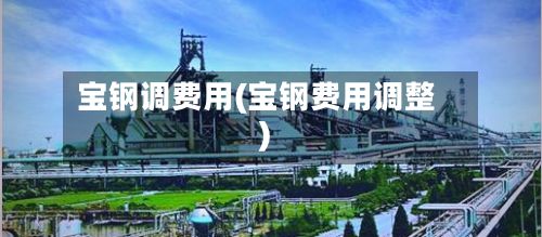 宝钢调费用(宝钢费用调整)