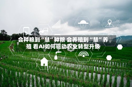 会种粮到“慧”种粮 会养殖到“慧	”养殖 看AI如何驱动农业转型升级-第2张图片