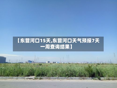 【东营河口15天,东营河口天气预报7天一周查询结果】