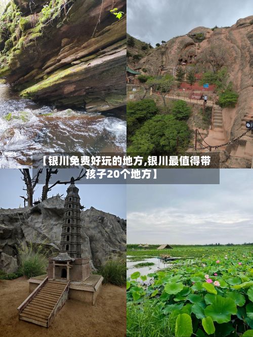 【银川免费好玩的地方,银川最值得带孩子20个地方】