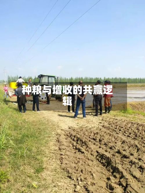 种粮与增收的共赢逻辑