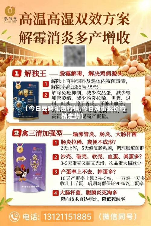 【今日豆鸡蛋货行情,今日鸡蛋报价行情走势】