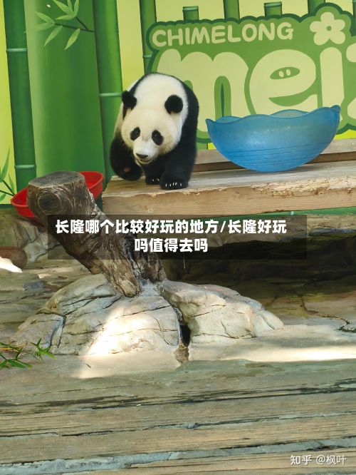 长隆哪个比较好玩的地方/长隆好玩吗值得去吗