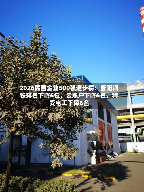 2026民营企业500强退步榜：普阳钢铁排名下降6位	，云账户下降6名，特变电工下降6名-第2张图片